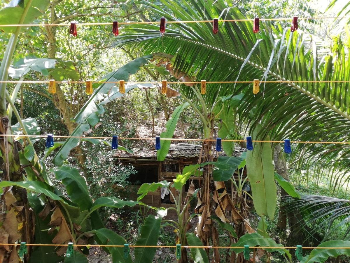 Sea Breeze Garden Ξενοδοχείο Tangalle Εξωτερικό φωτογραφία